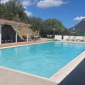 Valle Del Cedrino Galtellì