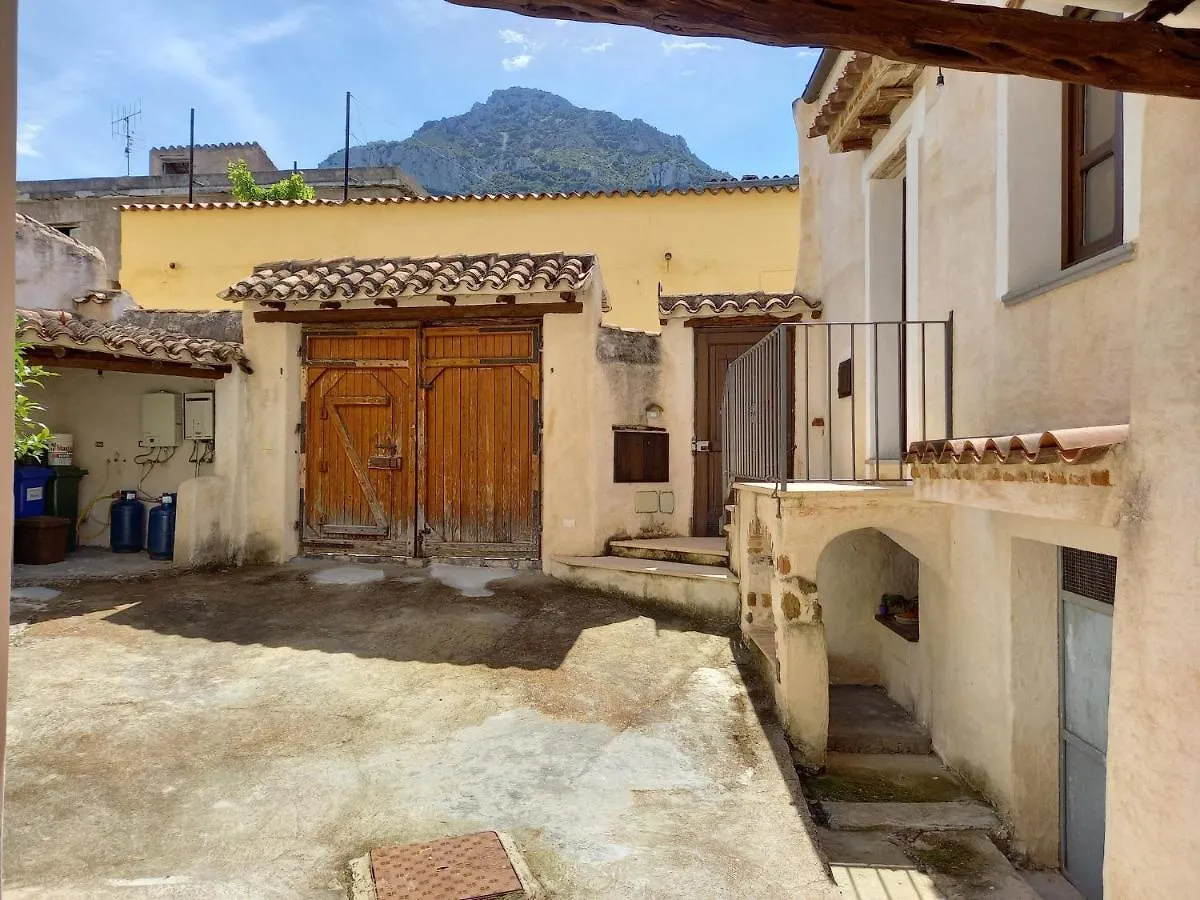 Domos Anticas Apartment Galtelli