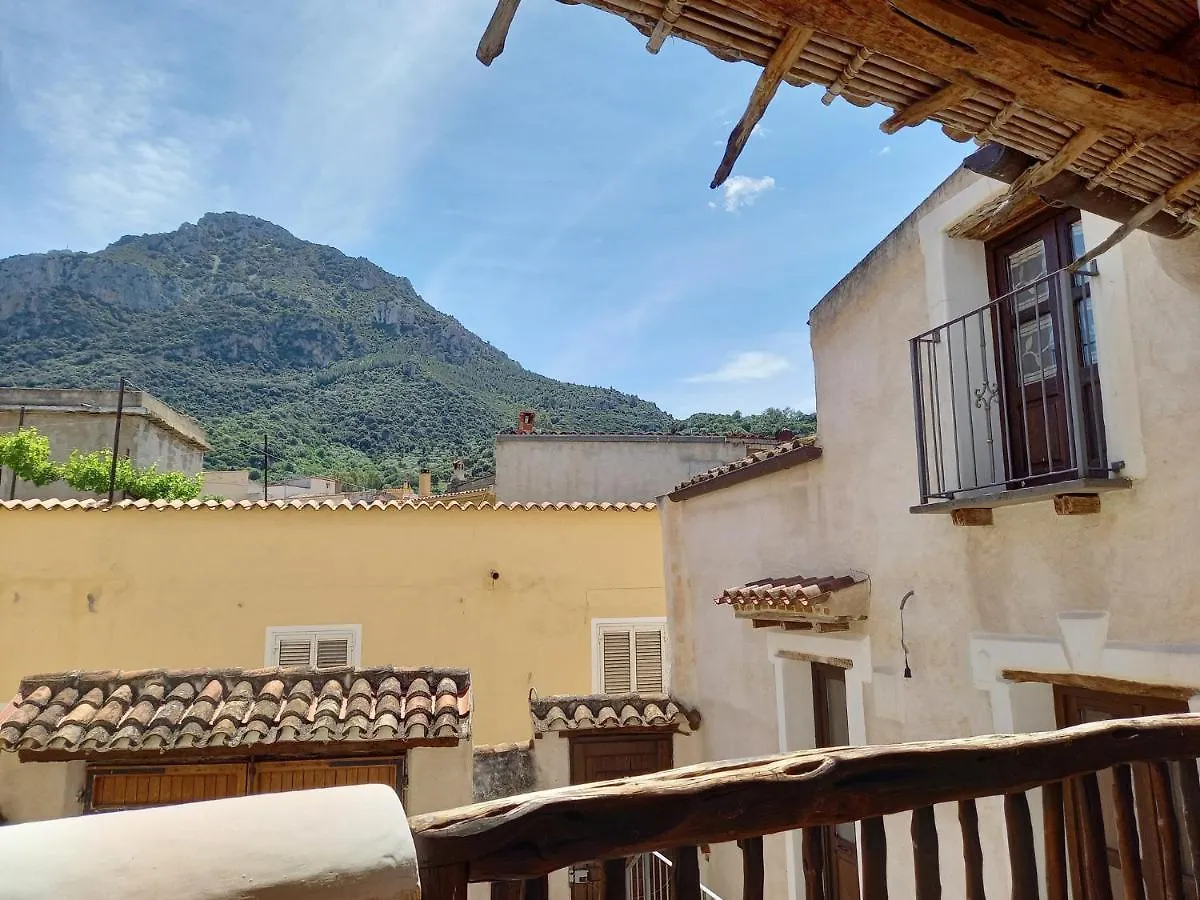 Domos Anticas Apartment Galtelli